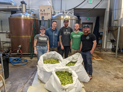 Say 'hello' to fare(well), our new fresh hop beer