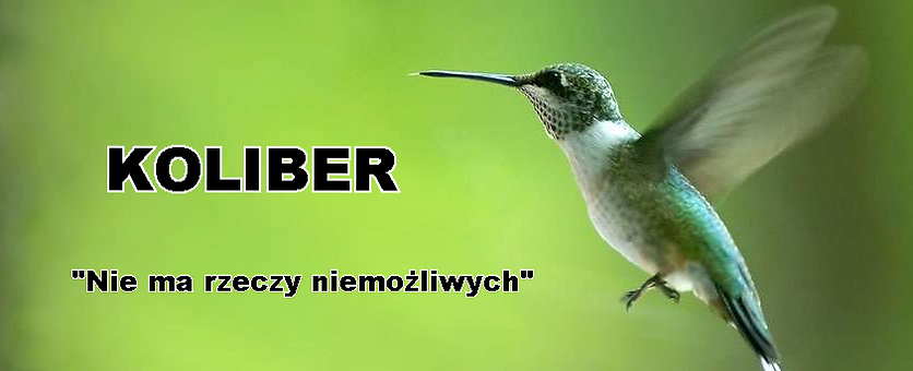 Koliber, Usługi remontowe, Gdańsk