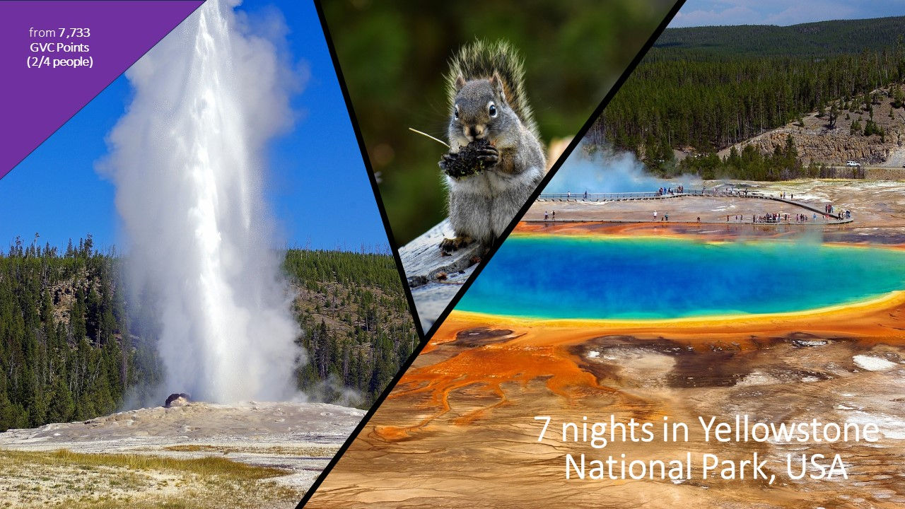 USA - Rustic Cabin 7-miles from Yellowstone