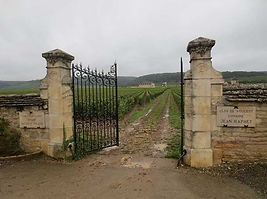 Clos de VOUGEOT