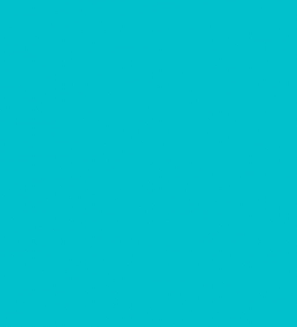 100x110