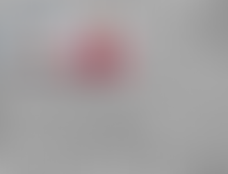 Integrating Augmented Reality and Artificial Intelligence in Vehicle Diagnostics: Applications for On-Board Diagnostics II Systems