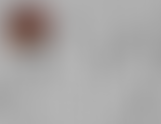 Immigration and Resilience: A Review of Paradigms, Policies, and Emerging Challenges