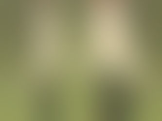 Domingo tem batismos!