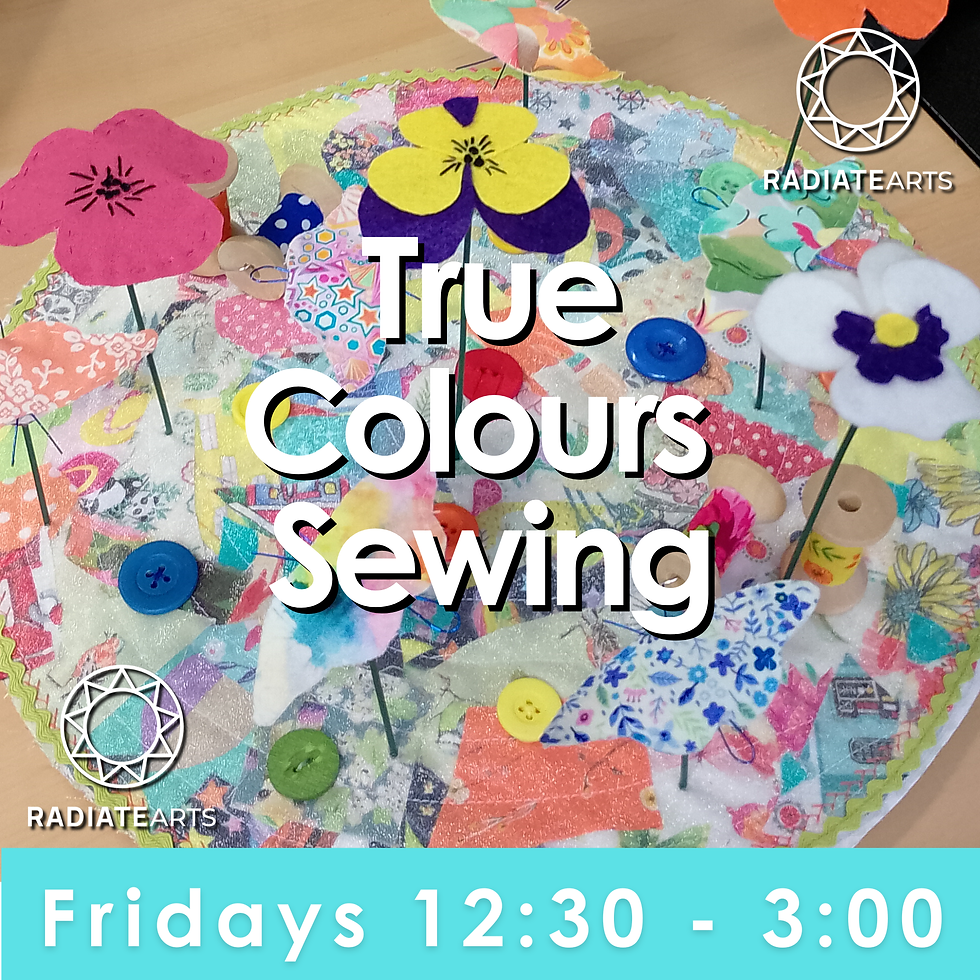 True Colours Sewing: Pride Shields