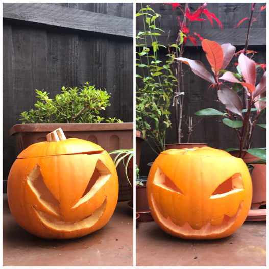 1. pumpkin.jpeg