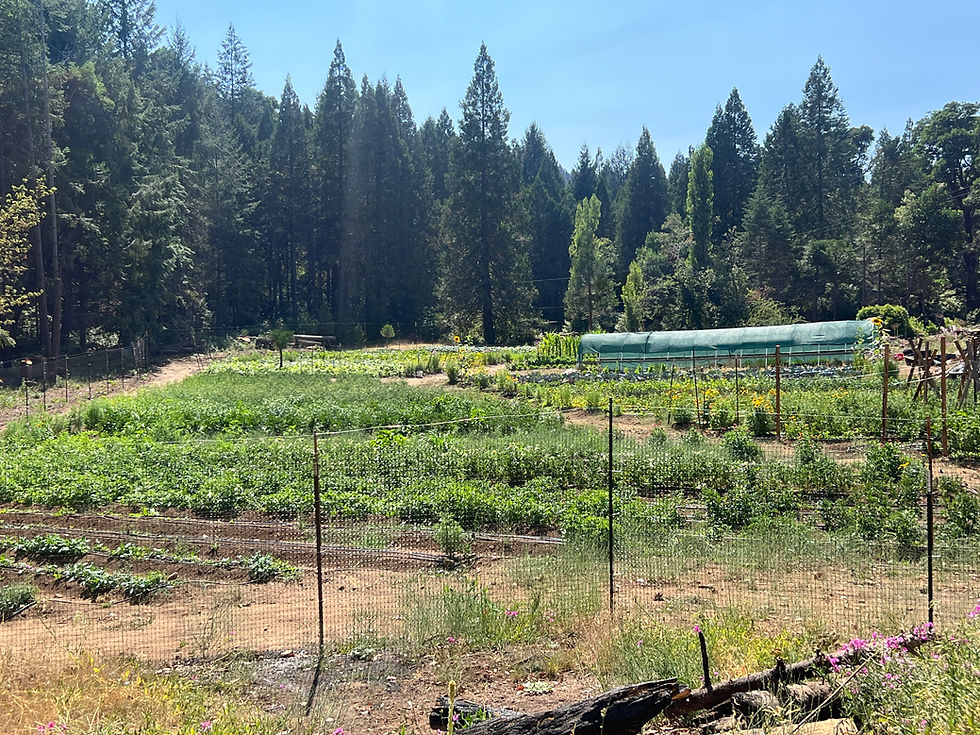 Stone House Farms