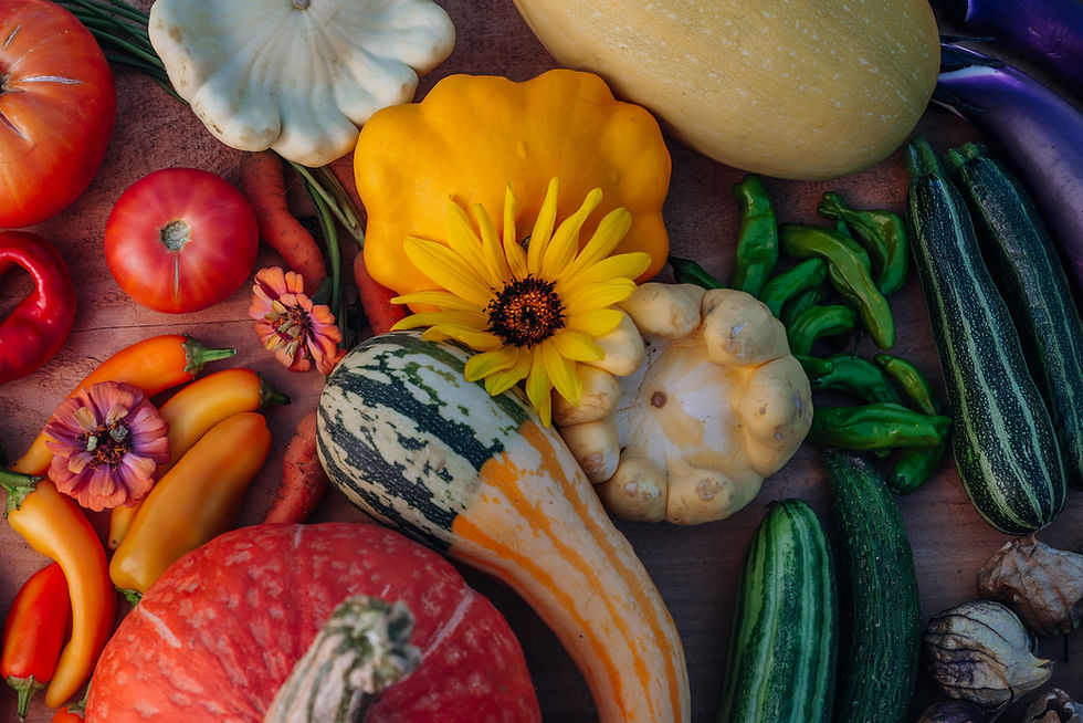 Stone House Farm CSA