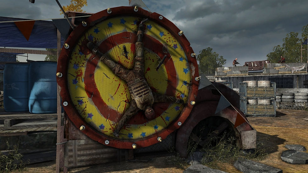 circus target practice