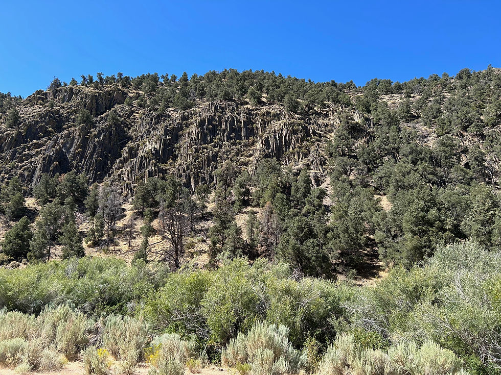 Hwy 50 is referred to as "the loneliest road in America."  While I have driven it many times, it did make it much more interesting to stop and see what's out there.  That said, that's Utah up ahead and I'm ready to be done with it.