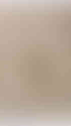 Opicinus de Canistris, Biblioteca Apostolica Vatican, (Vat. Lat. 6435fol 79v) (detail)