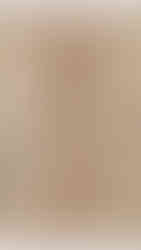 Opicinus de Canistris, Biblioteca Apostolica Vatican, (Vat. Lat. 6435fol 79v) (detail)