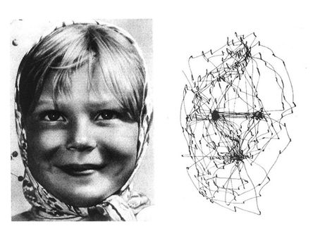 A Fire within the Eye: The biological system that underlies the visual arts