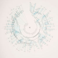 Delicate pen-and-watercolor data visualization showing the complete family tree of orchid species. Click to explore the Orchids on a Volcano project.