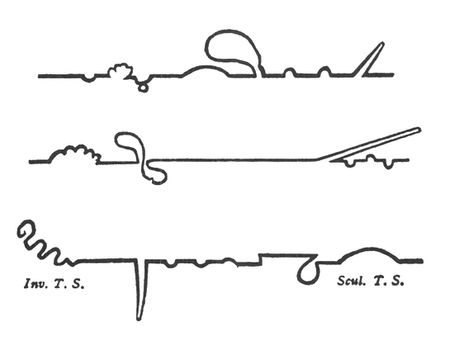 Diagrams in Literature: labyrinthine plots, obscure connections and the intricate inner working of a sentence.