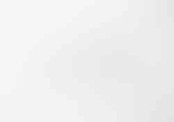 Drawing with Apple, 2009, Pencil on Paper, 110 x 80 cm