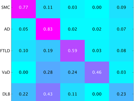 AI Confusion Matrices
