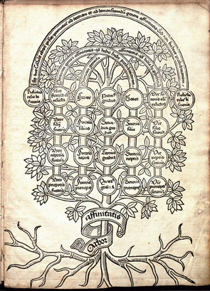 Cross section", John Arderne, De arte phisicali et de cirurgia, England ca. 1425