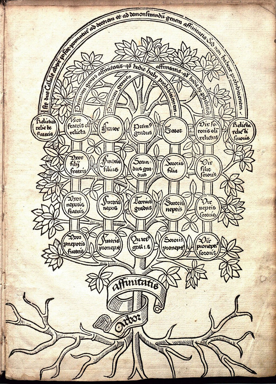 Cross section", John Arderne, De arte phisicali et de cirurgia, England ca. 1425