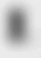 Drawing with Apple, 2009, Pencil on Paper, 110 x 80 cm