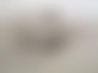 Portrait of the artist as a̶ y̶o̶u̶n̶g̶ m̶a̶n̶ / a̶ y̶o̶u̶n̶g̶ d̶o̶g̶ / ﻿a building...﻿