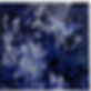 Swallows Nocturne #2