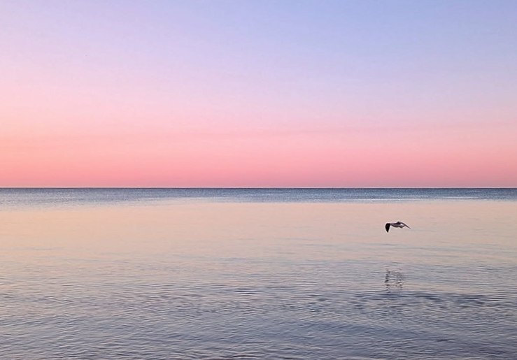 psychological services in busselton