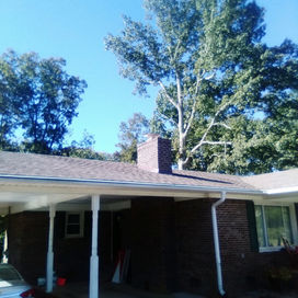 imagejpeg_0(5) - Copy.jpg