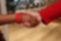 Professional Hand Shake