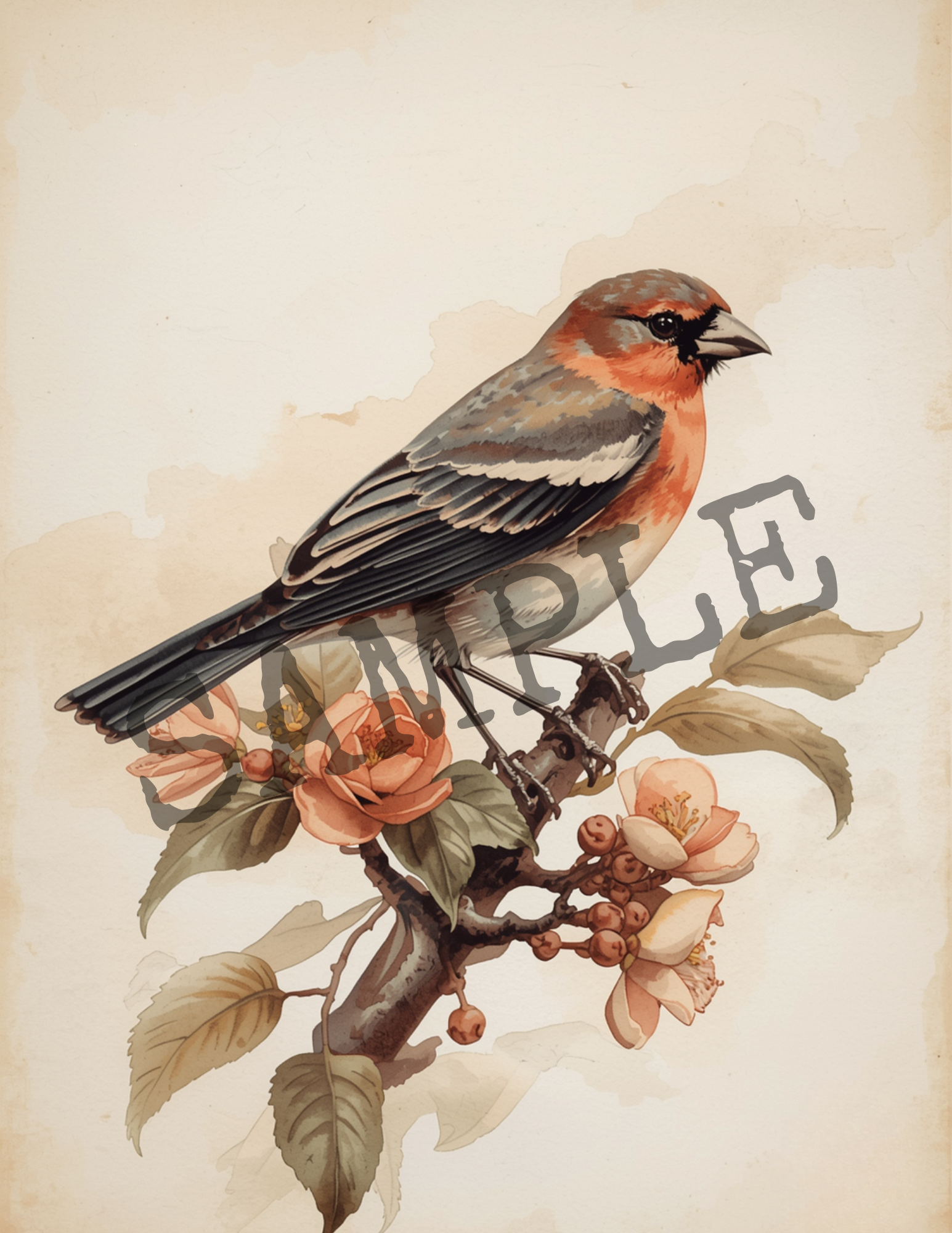 Vintage Bird Digital Download
