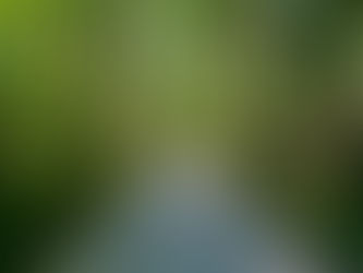 가루이자와 여행 완벽 가이드 | 1박 2일 일정·아울렛·맛집·교통 총정리