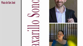 Conciertos de órgano patrocinados por la Concejalía de Cultura