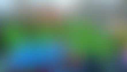 Yo te seré propicio en Roma