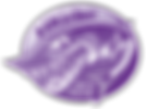 BARRACUDAS.png