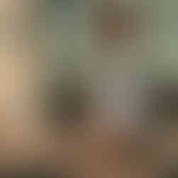 garota vestindo minissaia plissada branca esportiva da lacoste, blusa xadrez verde e moletom bege