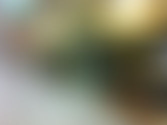 台北捷運新莊蘆洲線月台門