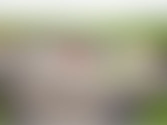 屏東縣農業國際化標準包裝家工廠統包工程