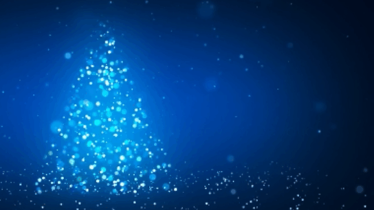 Advent Devotions Teaser.gif