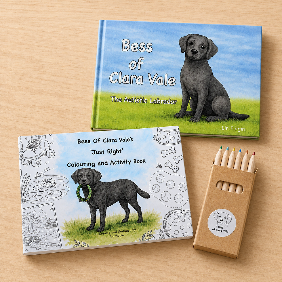 Bess of Clara Vale Book woth Activity Book and 6 coloured pencils flat on oak table
