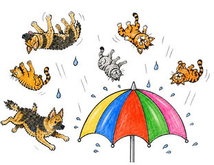 cats and dogs raining idiom_edited.jpg