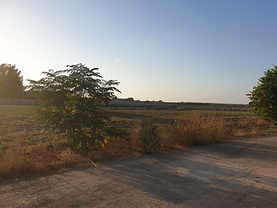 הבונים, ישראל