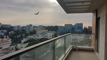 וודג'ווד, חיפה, ישראל