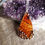 Thumbnail: Orange Butterfly