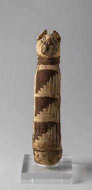 Momia de gato - (Época romana) Museo egipcio de Turín, Italia.jpg