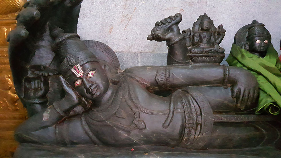 Ananthagiri Hills Sri Anantha Padman