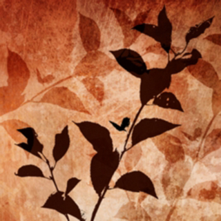 An Example of Abstract Artwork