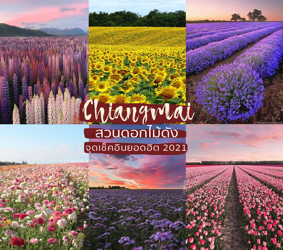 สถานที่ท่องเที่ยว ท่องเที่ยว จุดเด่น สิ่งน่าสนใจ