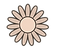 Daisies