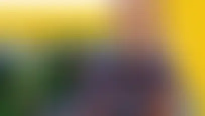 “Beautiful Bees”: oportunidades laborales para jóvenes europeas en nuestros pueblos