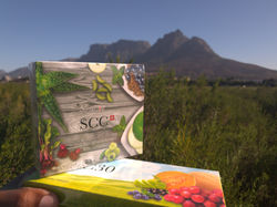 SCC and Table mountain